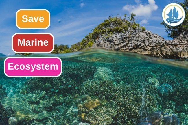 10 Things You Can Do To Save Marine Ecosystem